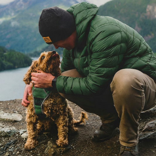 Hip & Joint Collagen For Dogs