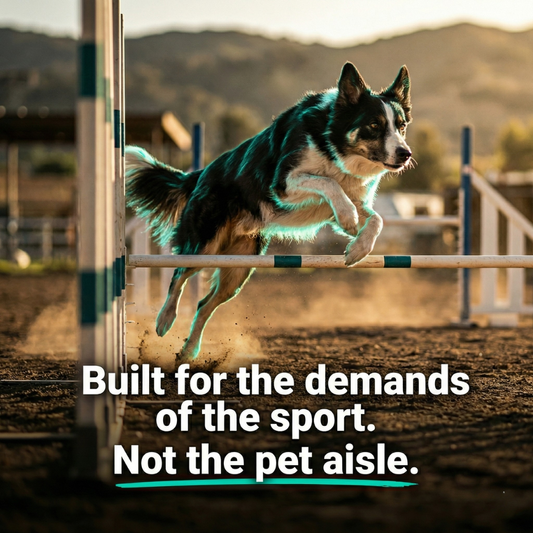 Performance Collagen For Active and Sport Dogs